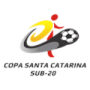 Copa Santa Catarina