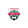 1. Liga