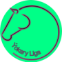 Ýokary Liga