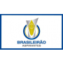 Brasileiro de Aspirantes